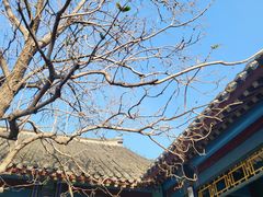 -张学良旧居陈列馆
