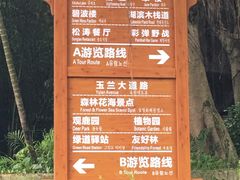 -广州市流溪河国家森林公园