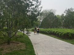 -西海子公园