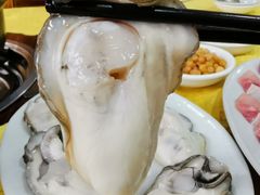 生蚝-濠轩阁特色生蚝火锅(水湾路店)
