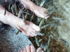 -明谷行馆·温泉