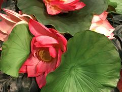 -文杏酒楼(一品天下店)