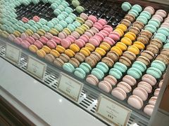 -DORABELLA朵娜贝拉(武林银泰店)