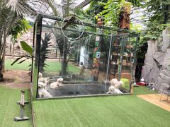 -呀路古热带植物园