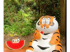 -红山森林动物园