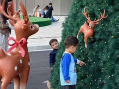 -深圳湾万象城(南山店)