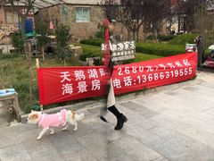 -烟墩角天鹅湖