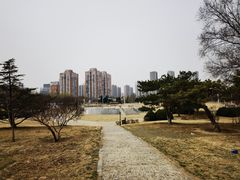 -太阳宫公园