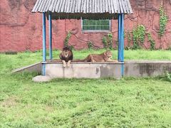 -无锡动物园·太湖欢乐园