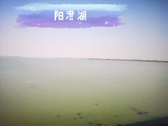 -星巴克(上海虹桥站2A检票口)
