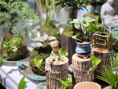 -花鸟鱼虫鲜花绿植市场(玉泉路店)