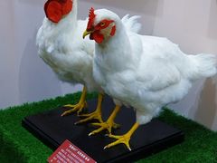 -中国农业博物馆