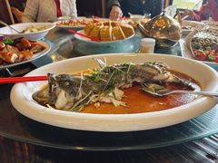 -绿雅居原生态农庄(小涌店)