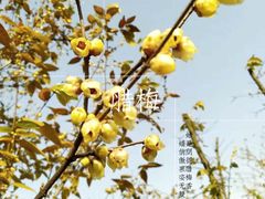 -塔子山公园