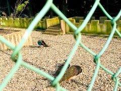 -南京金牛湖风景区