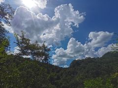 -广州白江湖森林公园