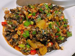 酸菜炒田螺-大碗先生(万家丽店)