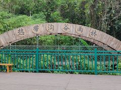 -西双版纳原始森林公园
