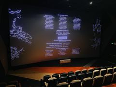-金逸影城(宝安大仟里IMAX激光店)