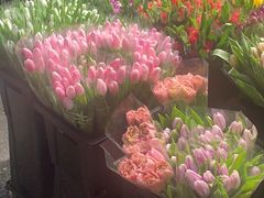 -循礼门鲜花花市(武汉循礼门店)