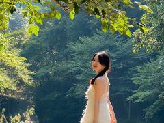 -石台牯牛降景区