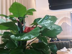 -杨翔豆皮涮牛肚(万和城店)