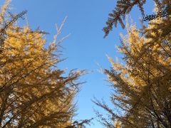 -辽宁大学(崇山校区)