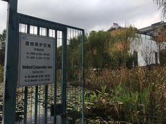 -九鼎轩脆毛肚火锅(商业街店)