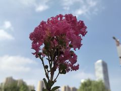 -木塔寺遗址生态公园