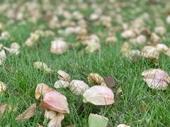 -浦阳面馆(萧山店)