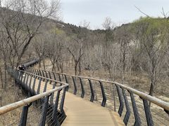 -白水寺森林公园