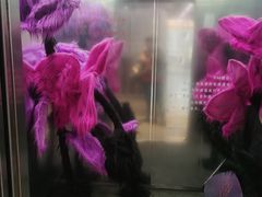 -X88商场(铜仁路店)