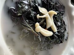 上汤紫贝菜-百鱼庄(仙葫店)