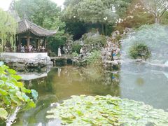 -艺圃