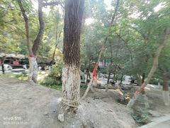 -水磨沟公园