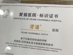 -宠颐生宠物医院·异宠猫科内科·诊疗中心宠巢店