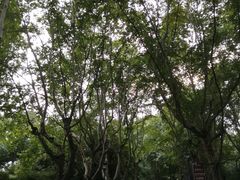 -杭州西湖风景名胜区-北街寻梦