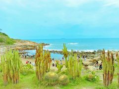 -广东惠东海龟国家级自然保护区