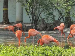 -石家庄市动物园