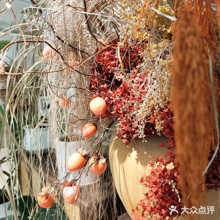 绿植环绕的咖啡馆