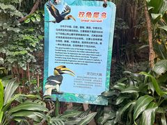-广州长隆飞鸟乐园