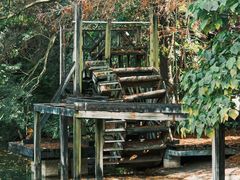 -深圳国际园林花卉博览园