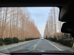 -盐城丹顶鹤湿地生态旅游区