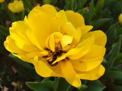 -长春公园(普阳街道)