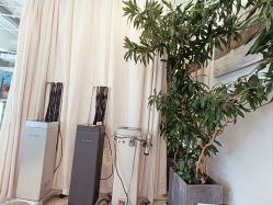 -Hair  Gallery