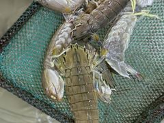 -金秋小吃海鲜·专注30年临海特色风味