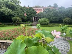 -浙江大学(之江校区)