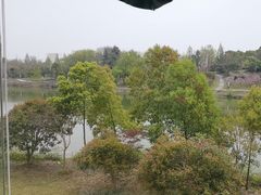 -仙林宾馆-餐厅