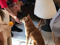 -小时光咖啡馆(北锣鼓巷店)