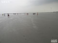 -碧海金沙